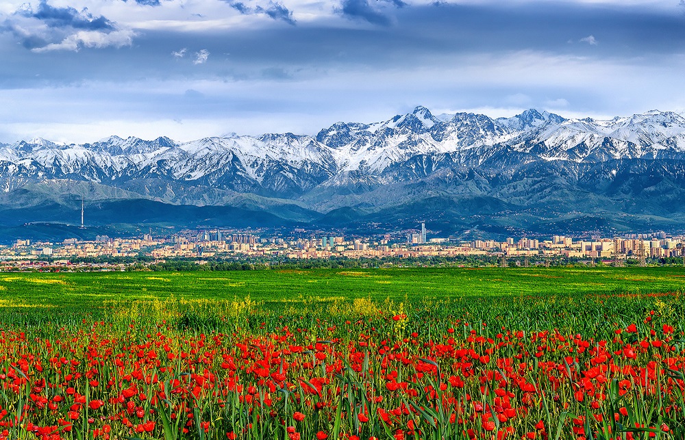 <p>Panorama of Almaty city, photo by Deonisy Mit</p>
