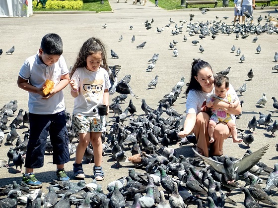 <p>In the park named after 28 Panfilovites, Almaty</p>
