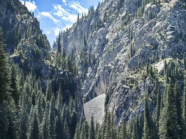 <p>Kaindy lake gorge, photo by Azamat Mukhametzhanov</p>
