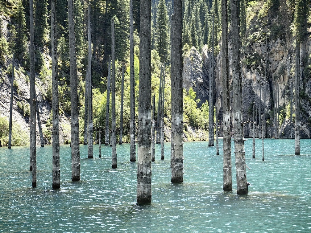 <p>The shore of Kayindy Lake, photo by Azamat Mukhametzhanov</p>
