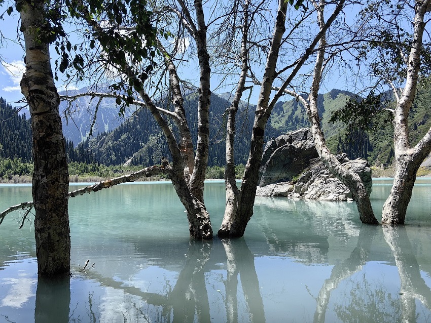 The shore of Lake Issyk, GreenX