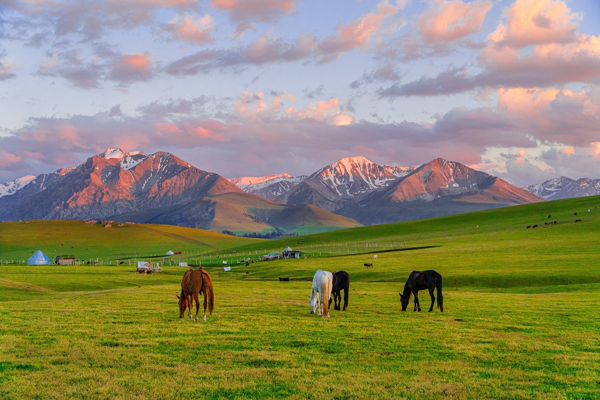 <p>Zhailau - summer pasture of nomads, Almaty region</p>
