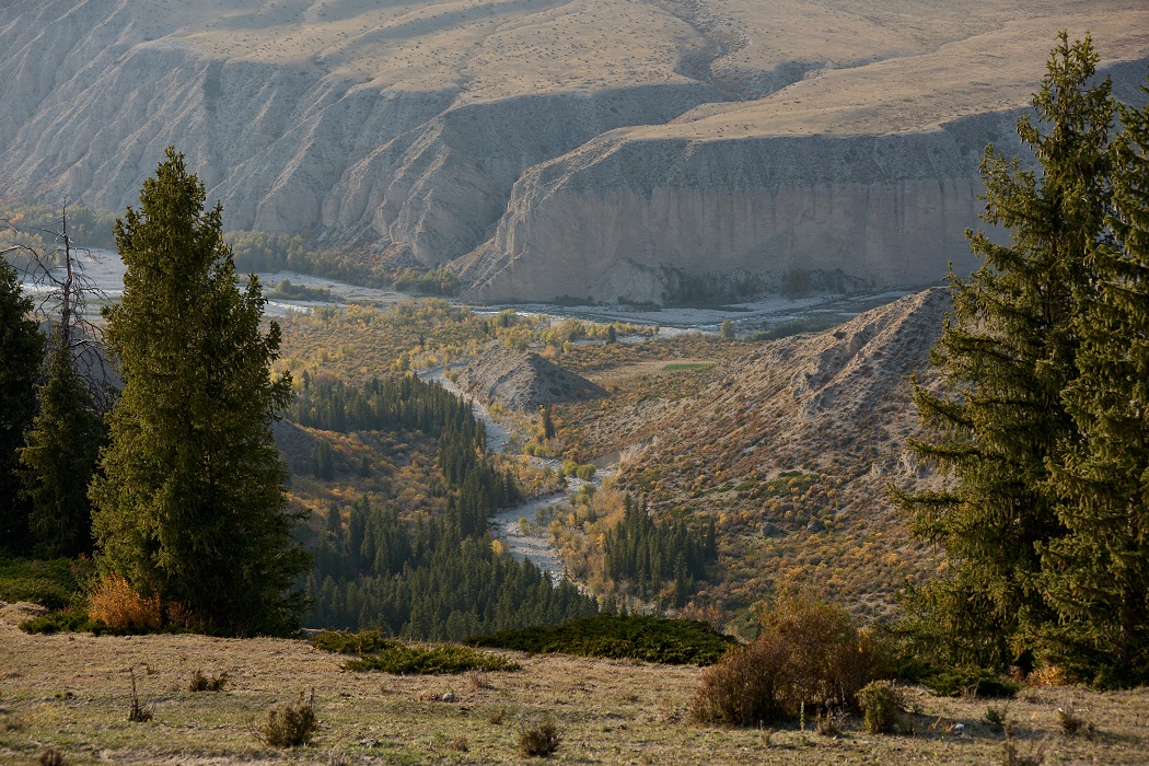 <p>Panorama of the confluence of Big and Middle tributaries of Osek River, altitude 2,100 metres</p>
